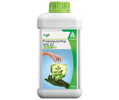 Agil